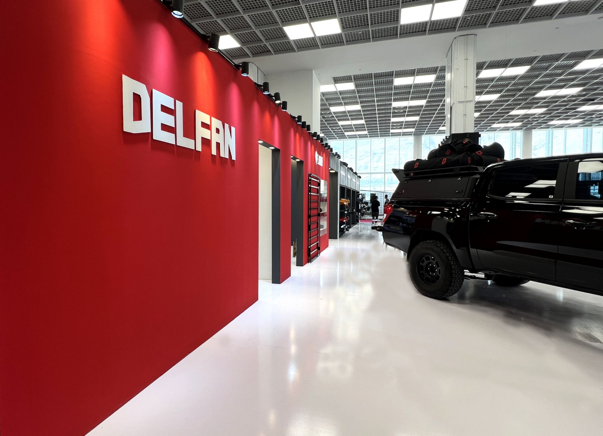 Picture of Delfan